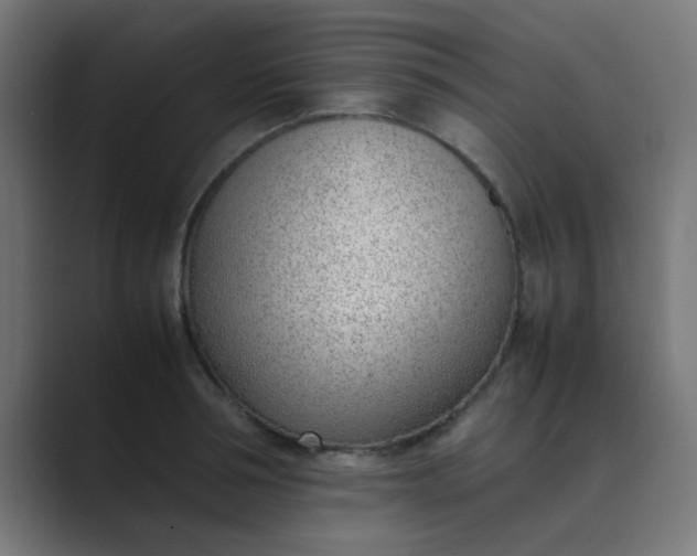 X0000089460994200706291458