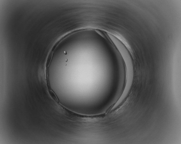 X0000089460996200706291458