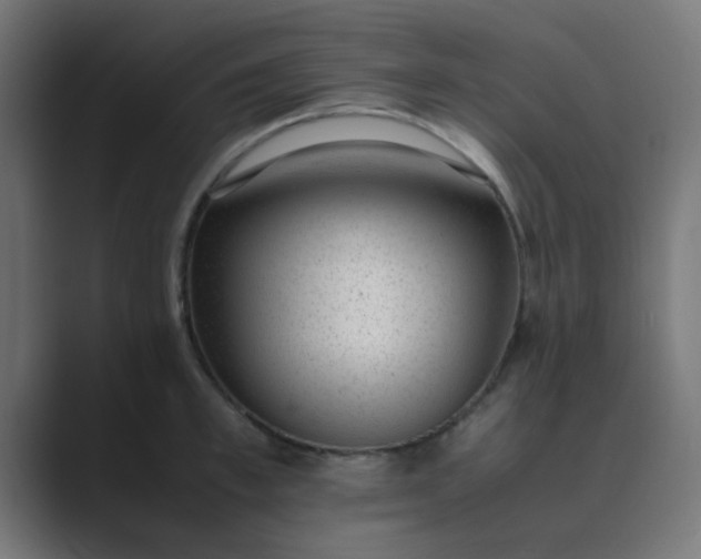 X0000089460997200706291458