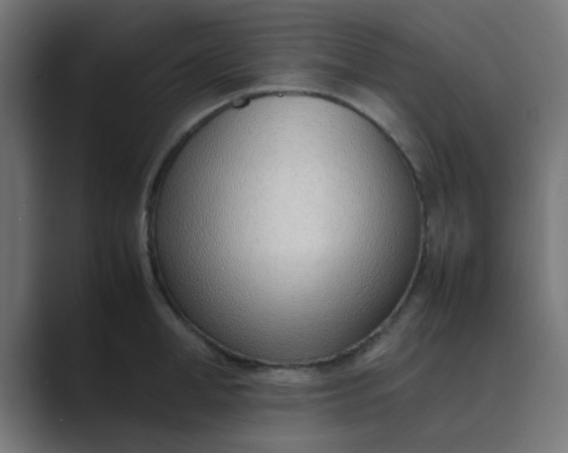 X0000089460998200706291458