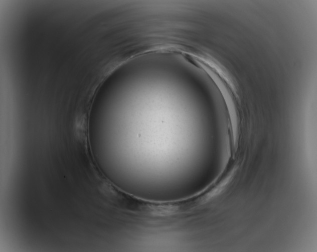 X0000089461001200706291458