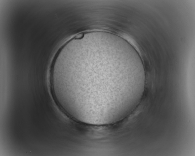 X0000089461003200706291458