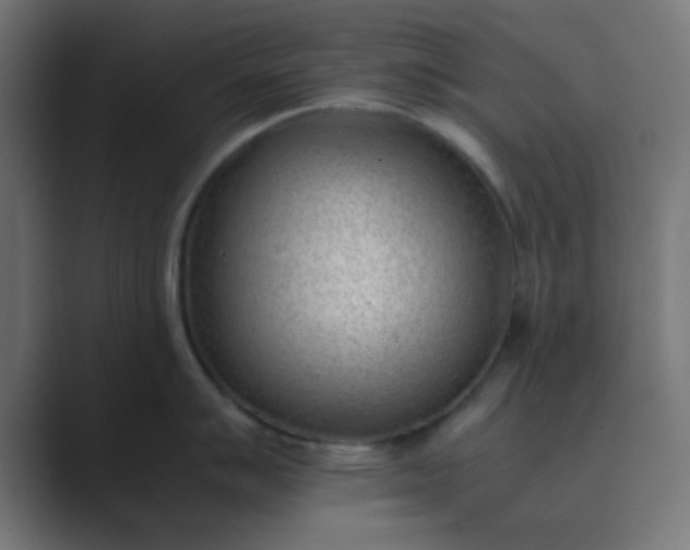 X0000089461007200706291458