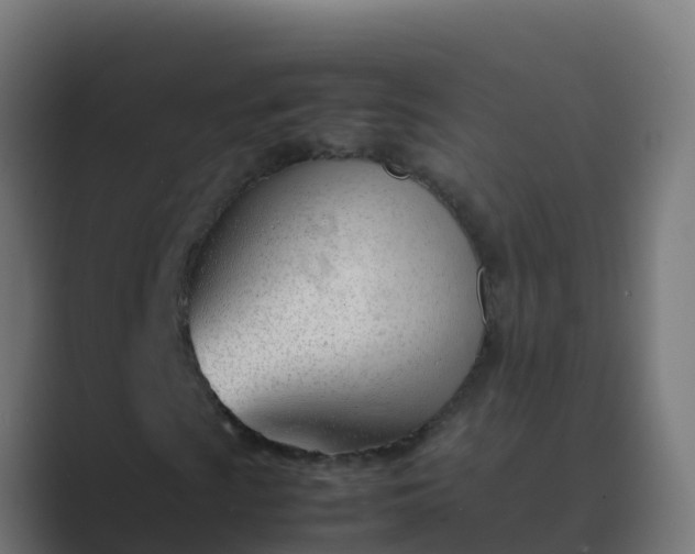 X0000089461009200706291457