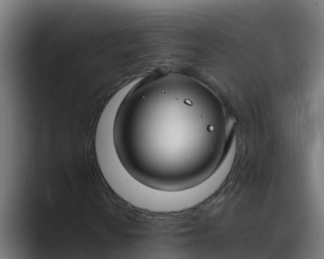 X0000089461010200706291457
