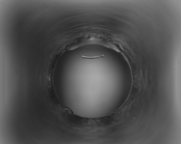 X0000089461013200706291457