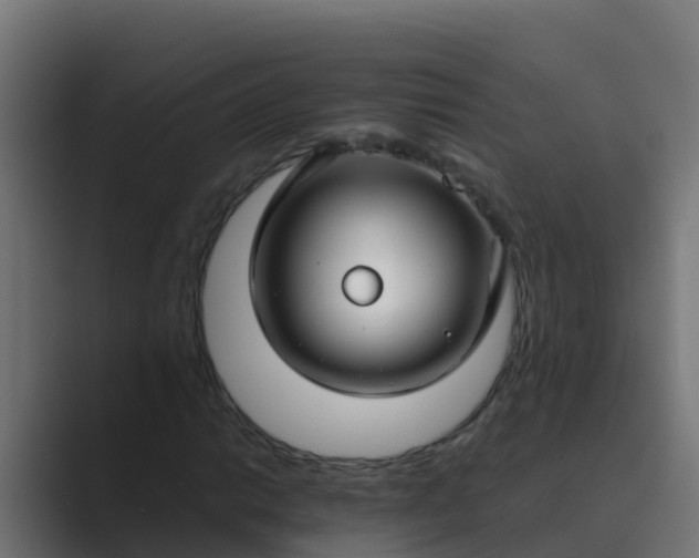 X0000089461014200706291457