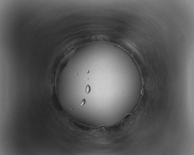 X0000089461015200706291457