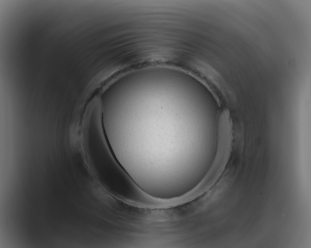 X0000089461018200706291457