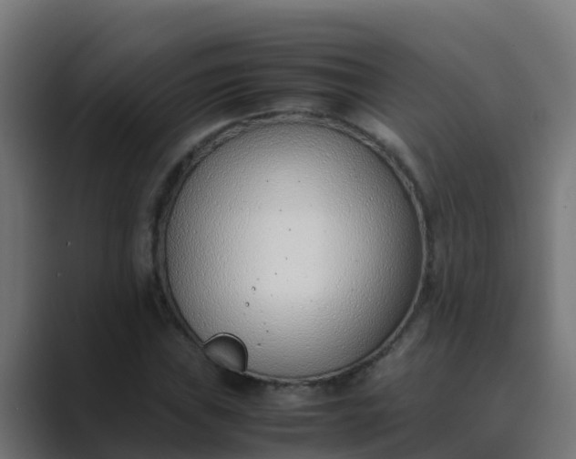 X0000089461019200706291457
