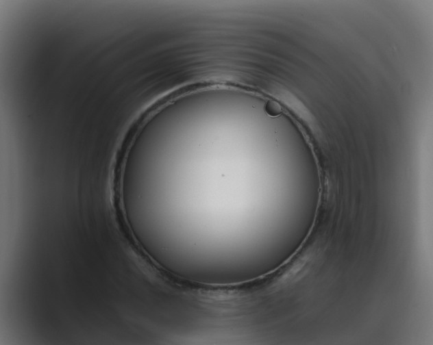 X0000089461020200706291457