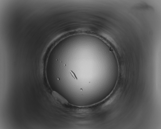 X0000089461021200706291457