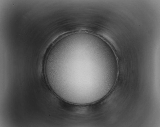 X0000089461023200706291457