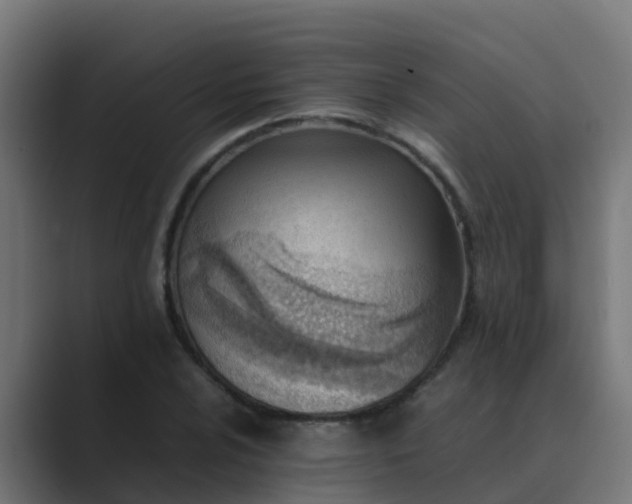 X0000089461024200706291457