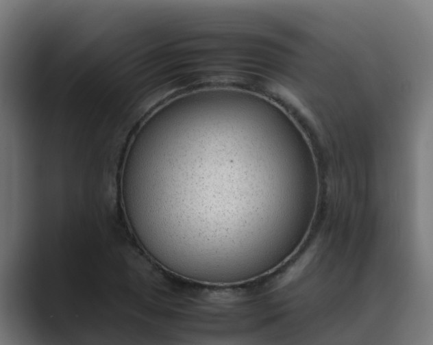 X0000089461025200706291457