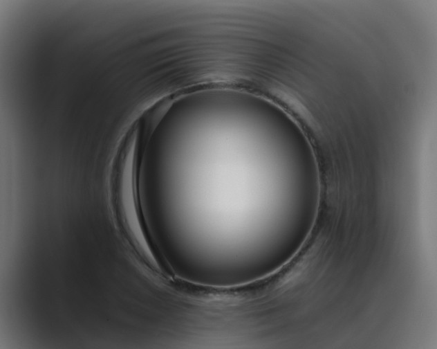 X0000089461026200706291457