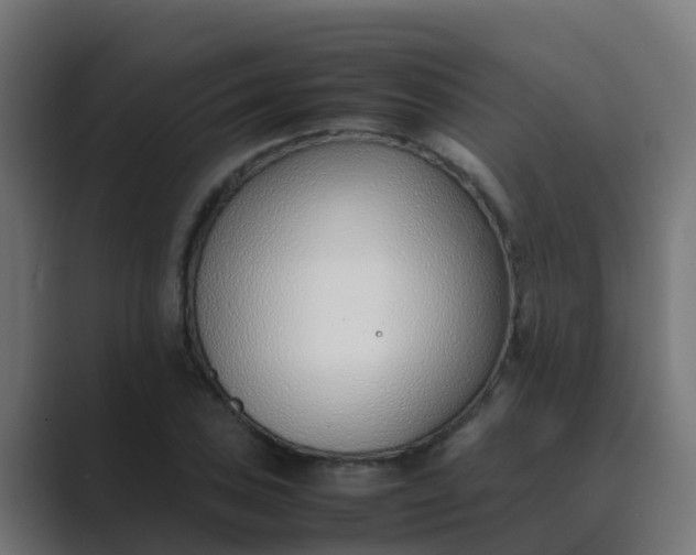 X0000089461027200706291457