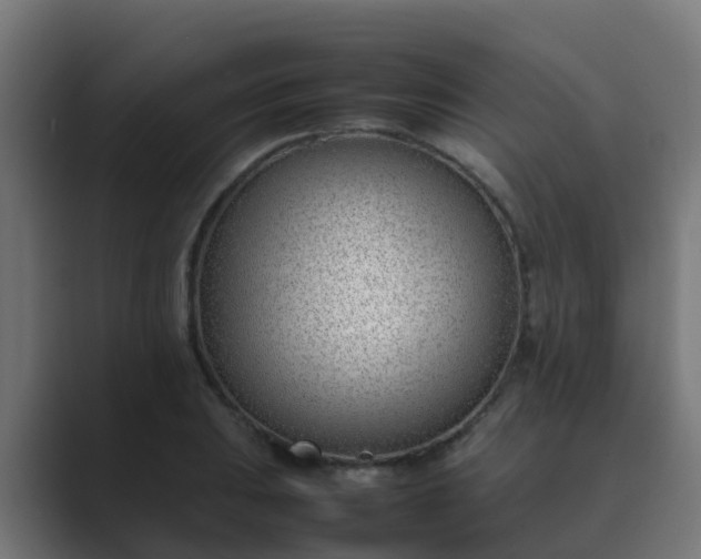 X0000089461031200706291457