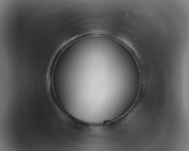 X0000089461032200706291457