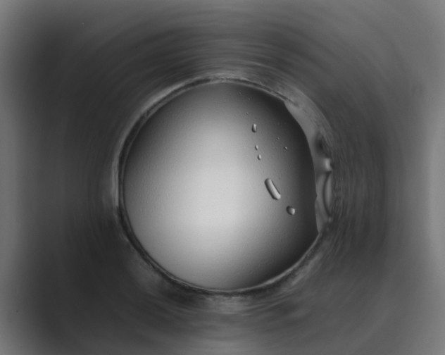 X0000089461036200706291457