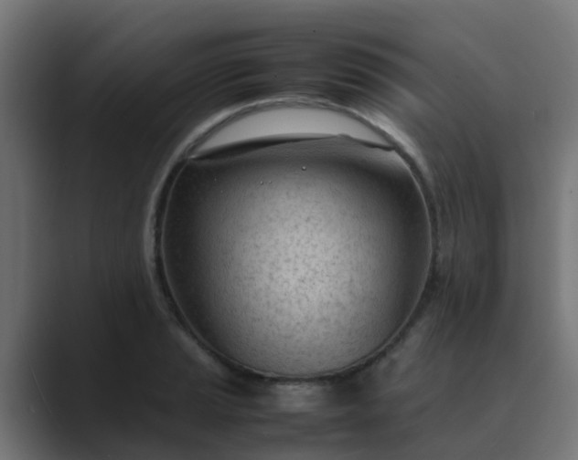 X0000089461037200706291457