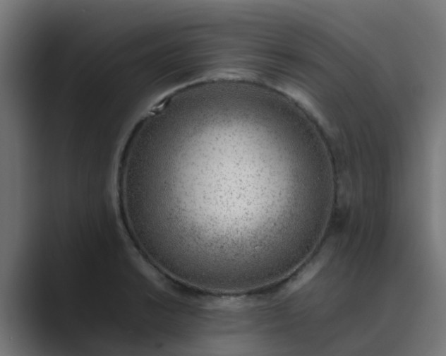 X0000089461038200706291457