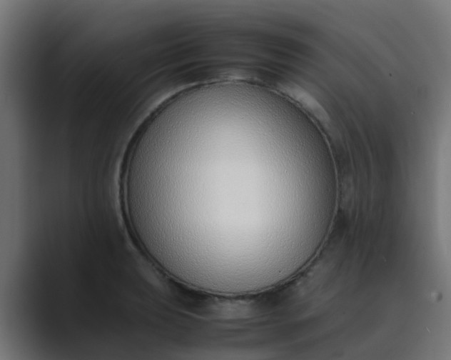 X0000089461039200706291457