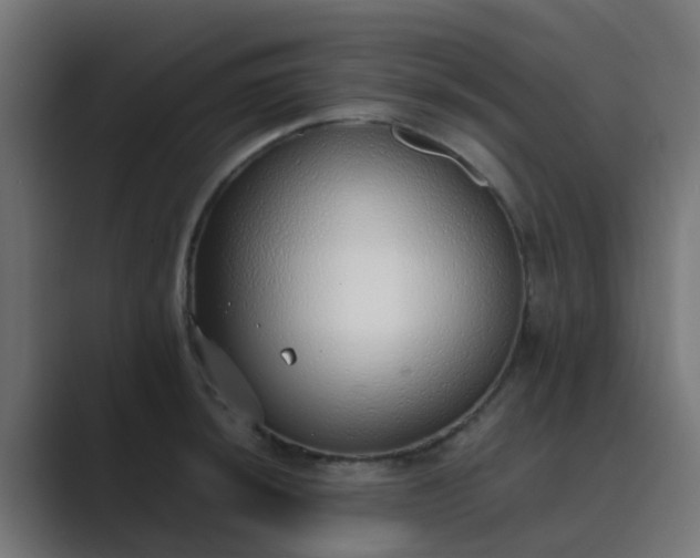 X0000089461044200706291457