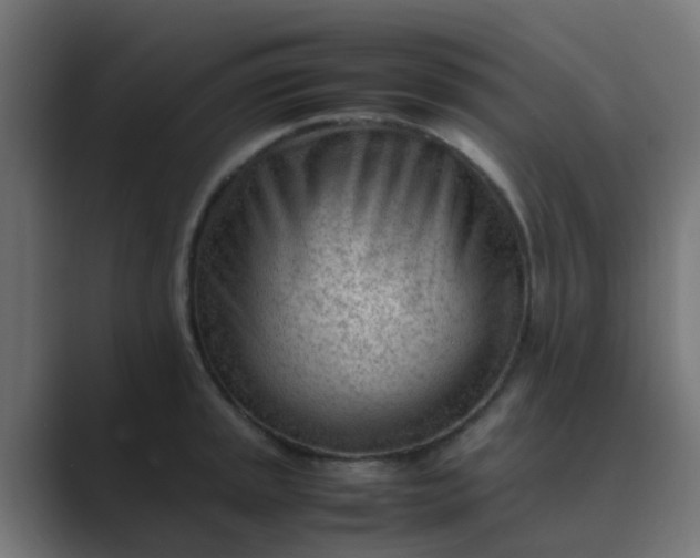 X0000089461045200706291458