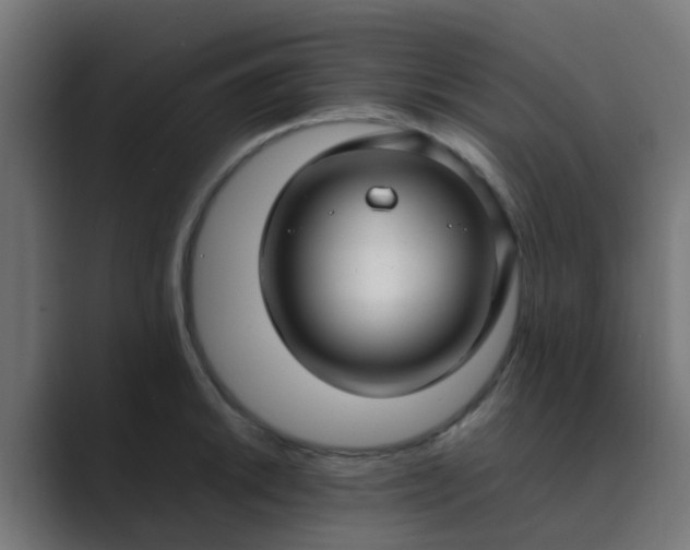 X0000089461046200706291458