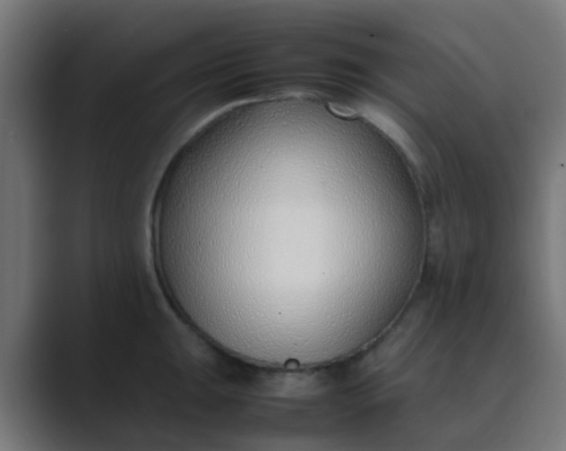 X0000089461047200706291458