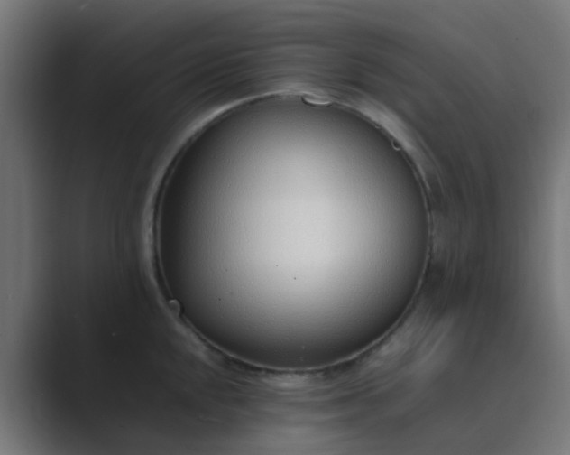 X0000089461048200706291458