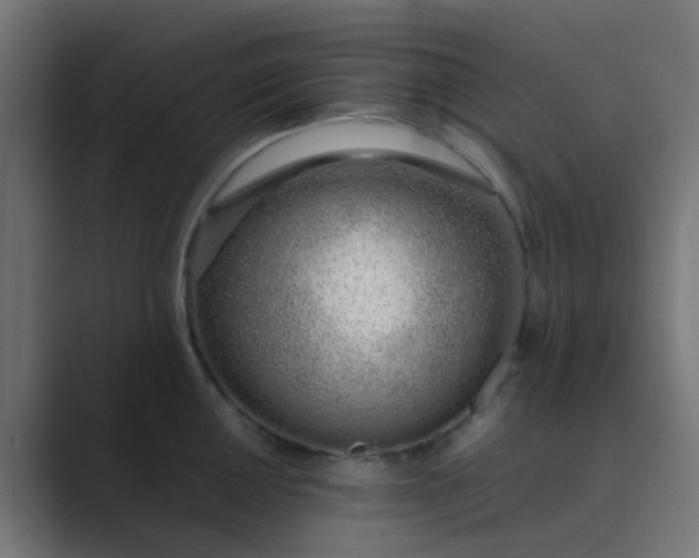 X0000089461050200706291458
