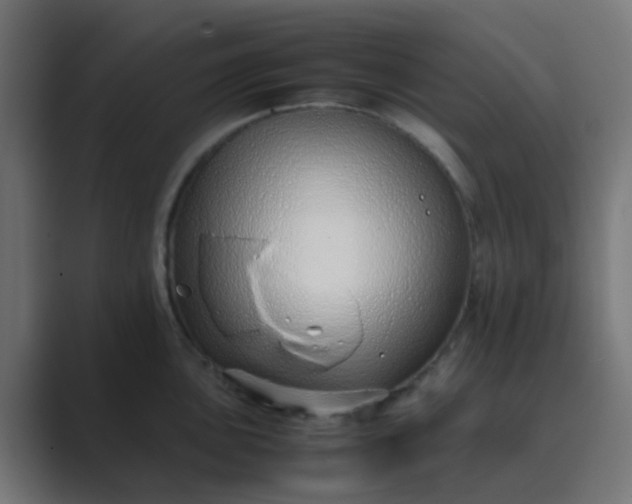 X0000089461051200706291458