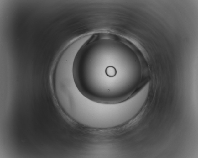 X0000089461054200706291458