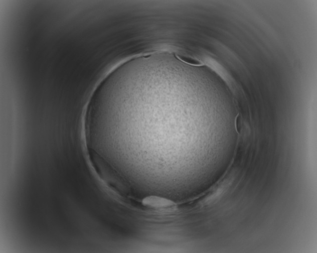 X0000089461055200706291458