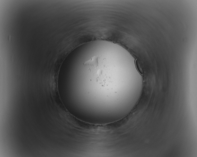 X0000089461058200706291457