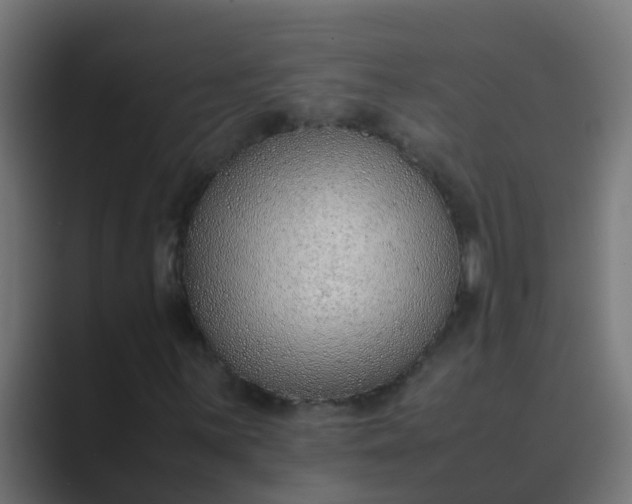 X0000089461059200706291457