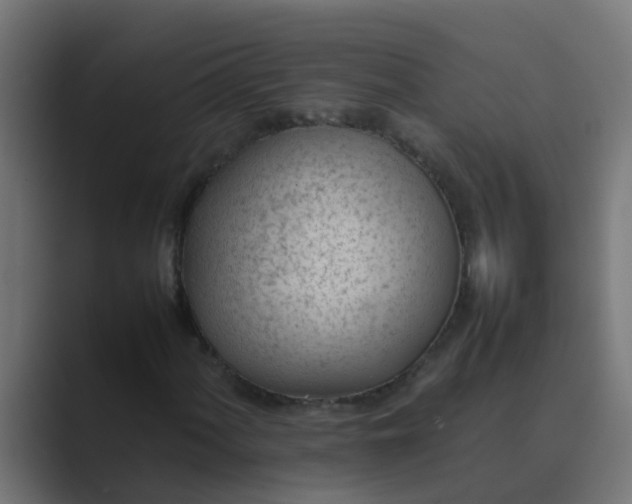 X0000089461060200706291457