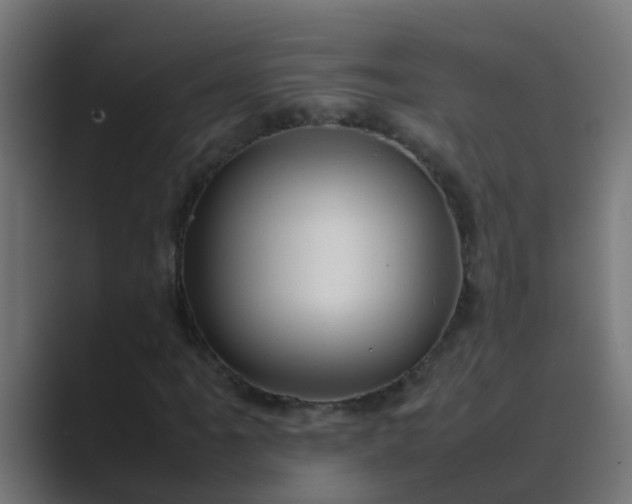 X0000089461061200706291457