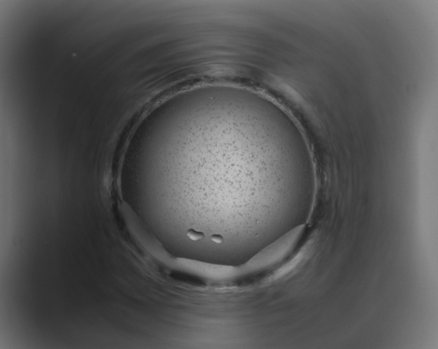 X0000089461065200706291457