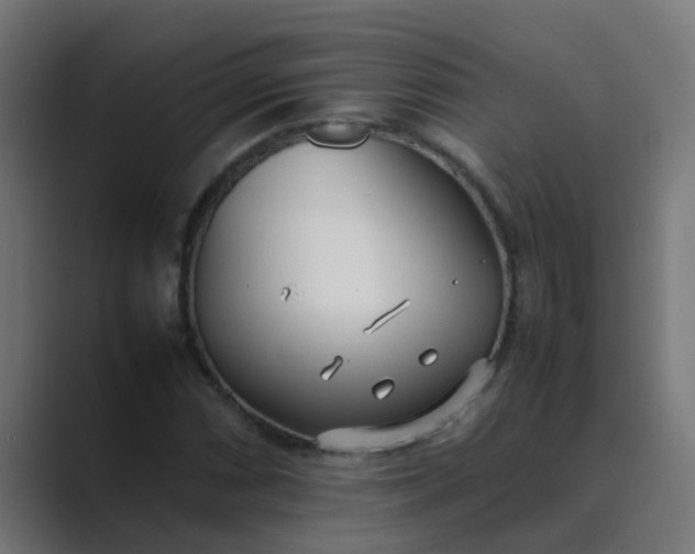 X0000089461066200706291457