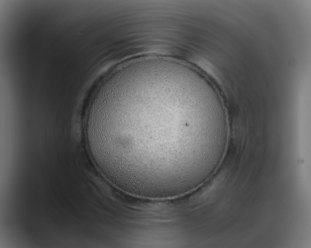 X0000089461067200706291457