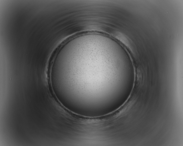 X0000089461068200706291457