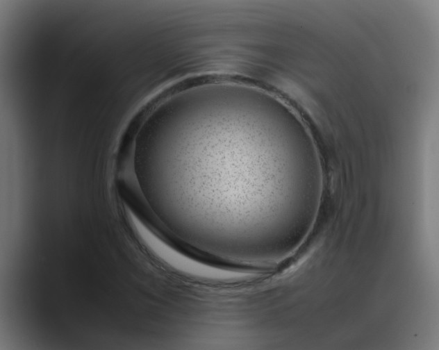 X0000089461069200706291457