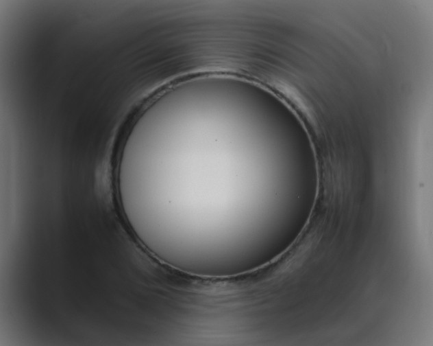 X0000089461072200706291457
