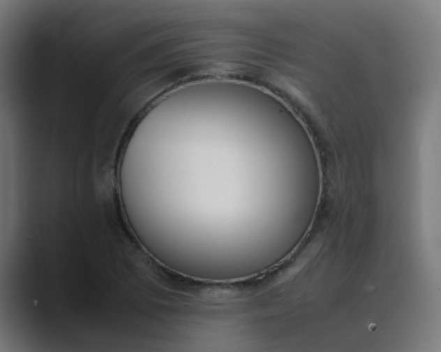 X0000089461073200706291457