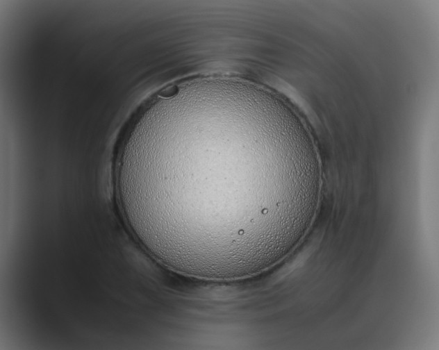 X0000089461075200706291457