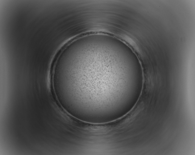 X0000089461076200706291457