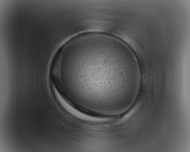 X0000089461077200706291457